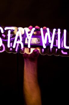 Неоновая надпись Stay Wild